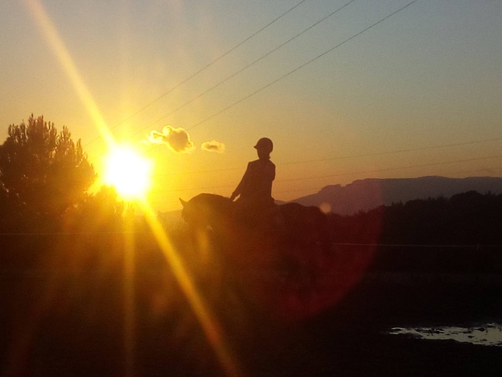 Cavalier au coucher de soleil
